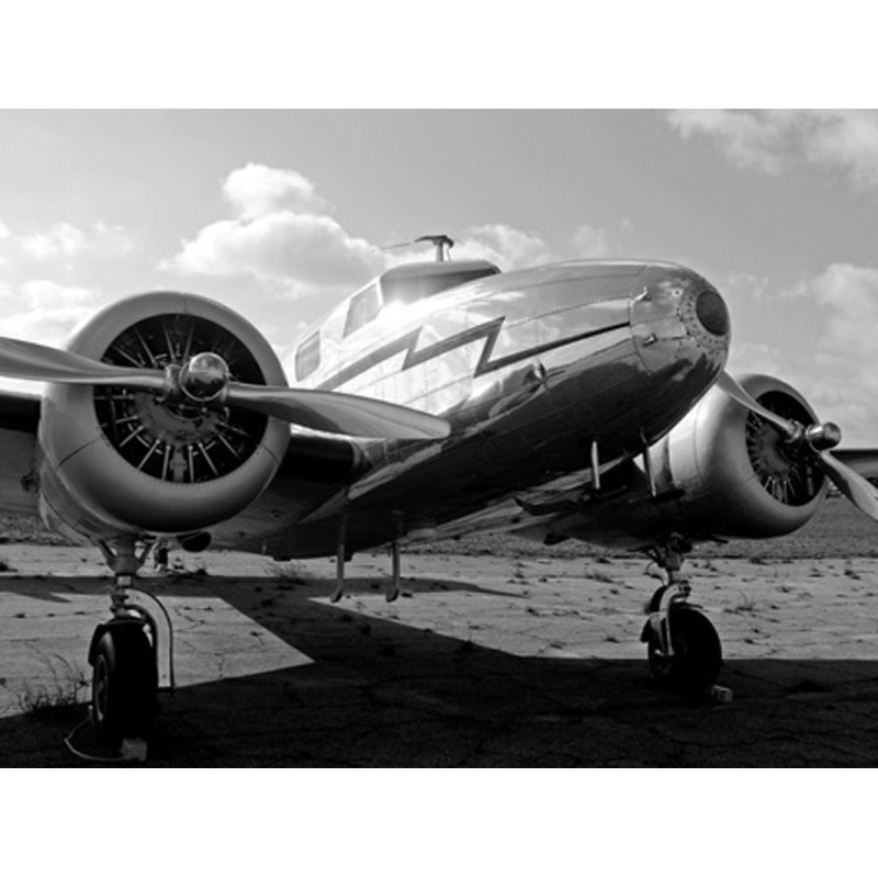 Ivan Cholakov - Vintage Airplane (detail)