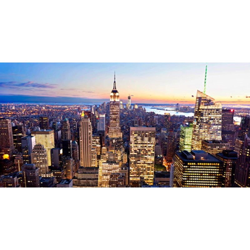 Vadim Ratsenskiy - Aerial view of Manhattan, NYC