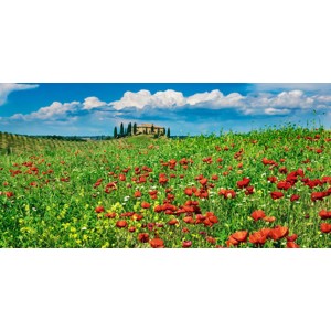 Frank Krahmer - Farm house with cypresses and poppies, Tuscany, Italy