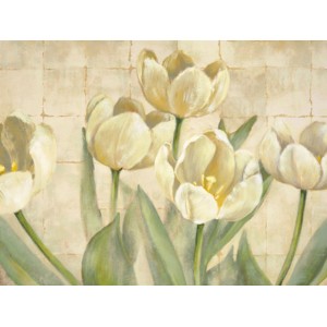 Lauren Mc Kee - White Tulips on Ivory
