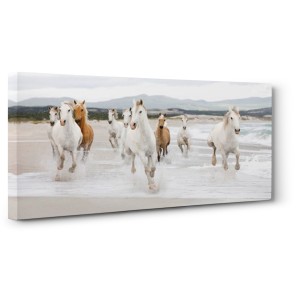 Zero Creative Studio - Horses on the beach (detail)