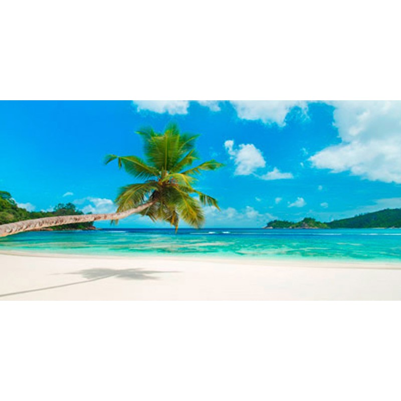 Anonymous - Tropical beach, Seychelles