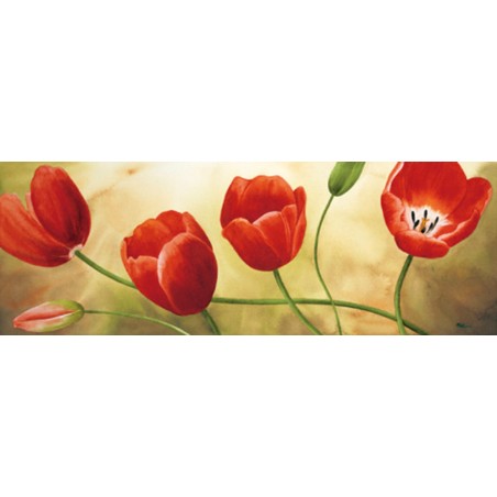 Maria Grazia Luffarelli - Armonia di Tulipani