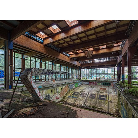 Richard Berenholtz - Abandoned Resort Pool, Upstate NY