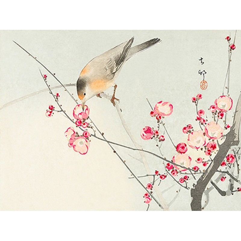 Ohara Koson - Songbird on blossom Branch