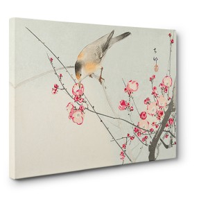 Ohara Koson - Songbird on blossom Branch