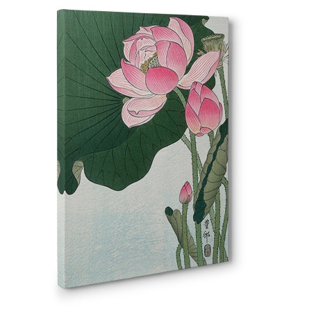 Ohara Koson - Blooming lotus flowers