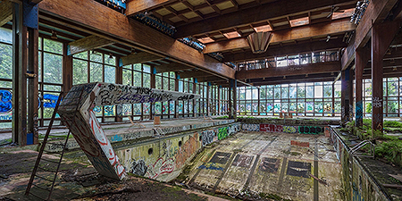 Richard Berenholtz - Abandoned Resort Pool, Upstate NY (detail)