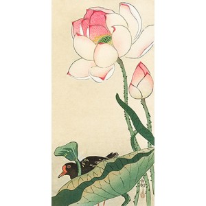 Ohara Koson - Lotus Flowers