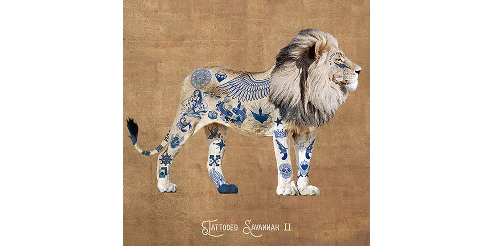 Steven Hill - Tattooed Savannah II