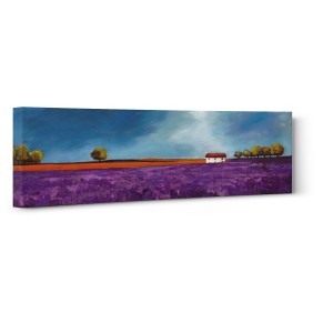 Philip Bloom - Field of lavender