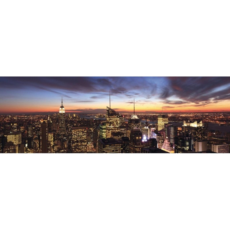 Anonymous - New York City Panorama