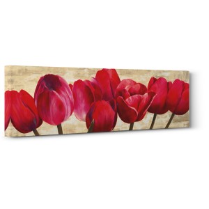 Cynthia Ann - Red Tulips