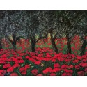 Tebo Marzari - Papaveri sotto gli ulivi