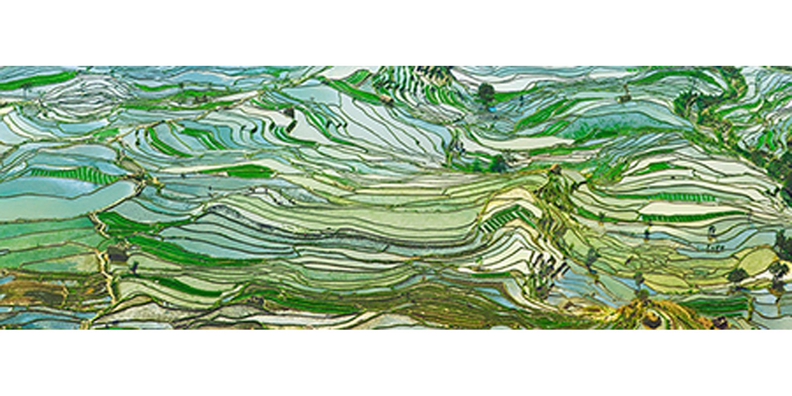 Frank Krahmer - Peru Rice Terraces, Yunnan, China