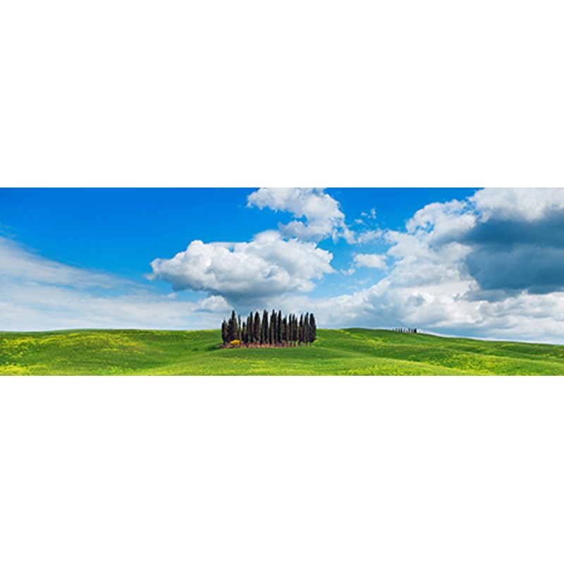 Frank Krahmer - Cypresses, Val d'Orcia, Tuscany