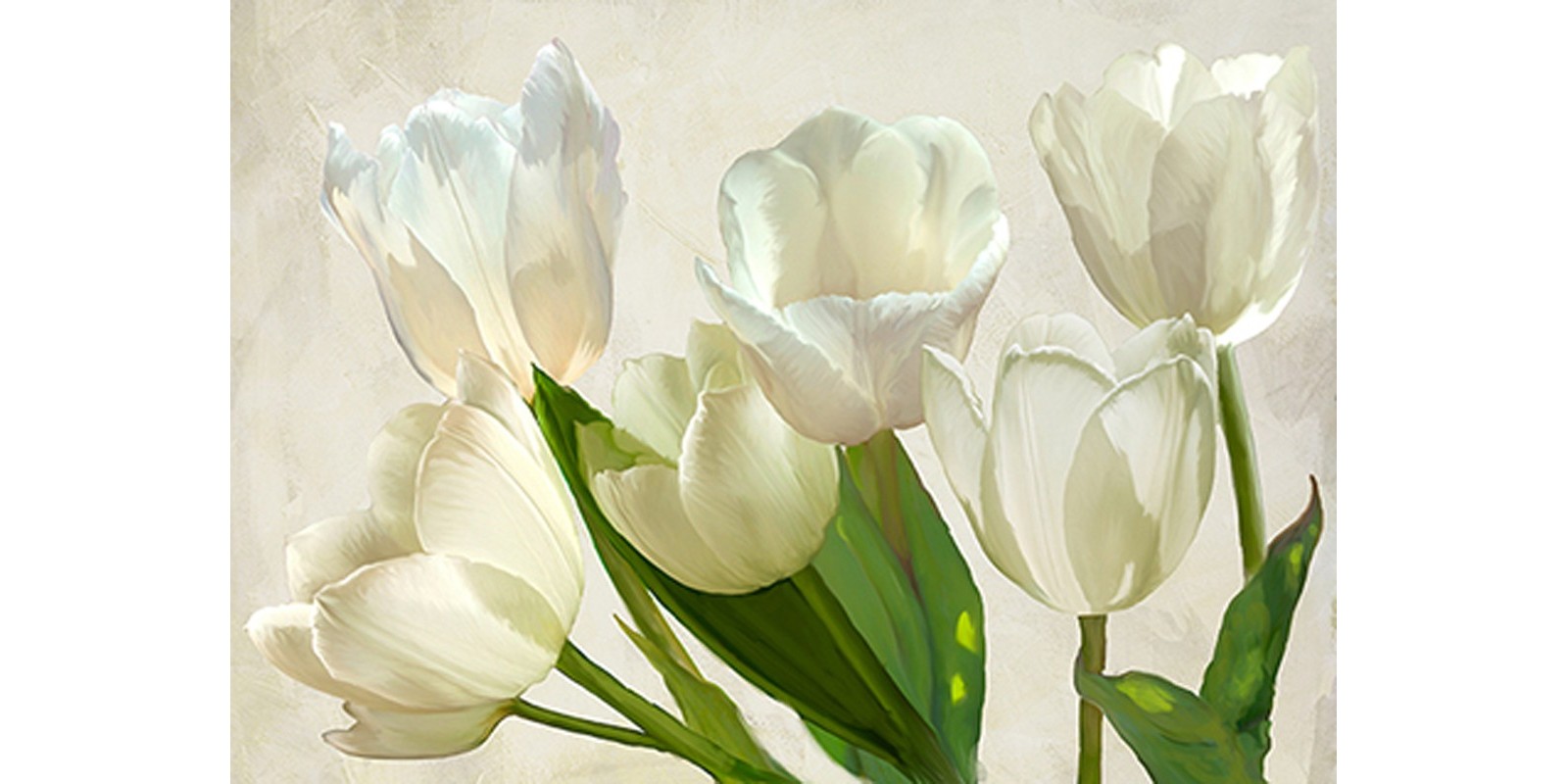 Luca Villa - White Tulips