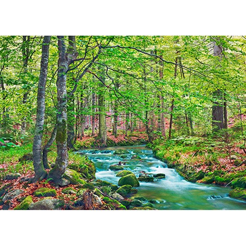 Frank Krahmer - Forest brook through beech forest, Bavaria, Germany