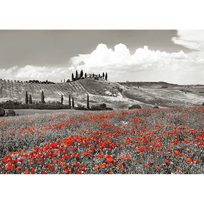 Frank Krahmer - Farmhouse with Cypresses and Poppies, Val d'Orcia, Tuscany (BW)