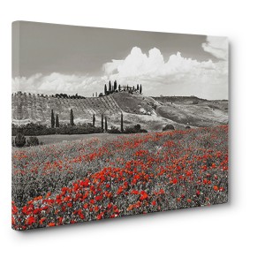 Frank Krahmer - Farmhouse with Cypresses and Poppies, Val d'Orcia, Tuscany (BW)