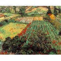 Vincent Van Gogh - Field with Poppies