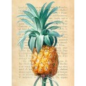 Remy Dellal - Pineapple, After Redouté