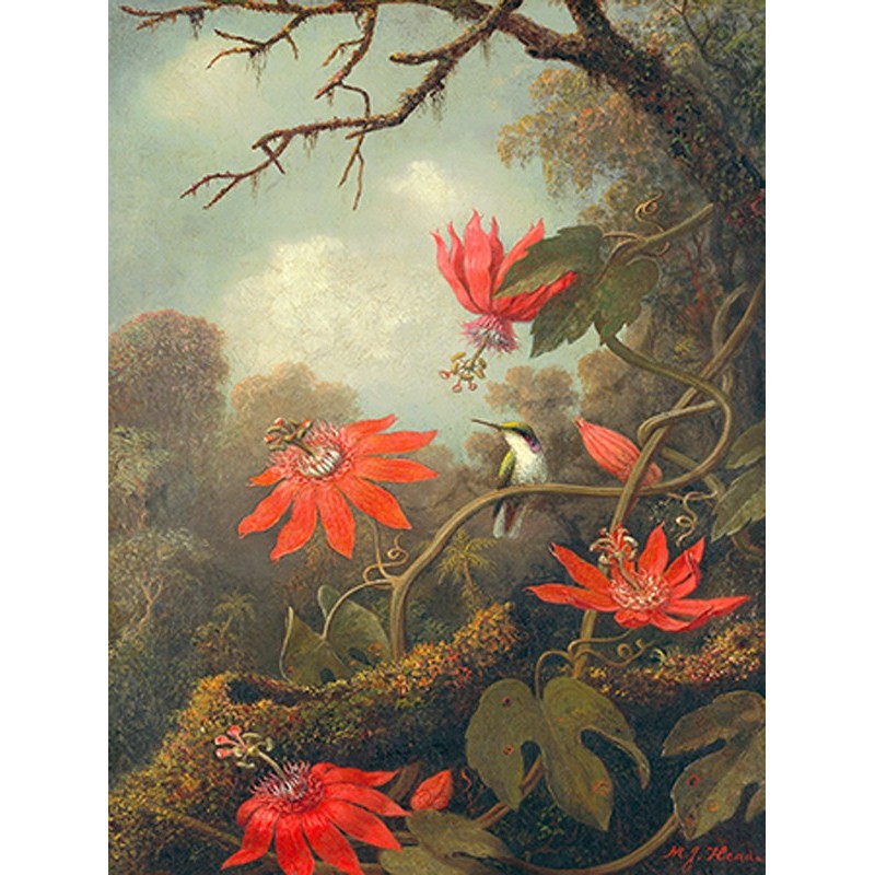 マッドジョンソンの絵画（PASSION PLANTS） - 絵画