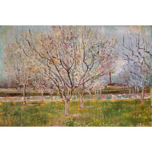 Vincent Van Gogh - Orchard in blossom