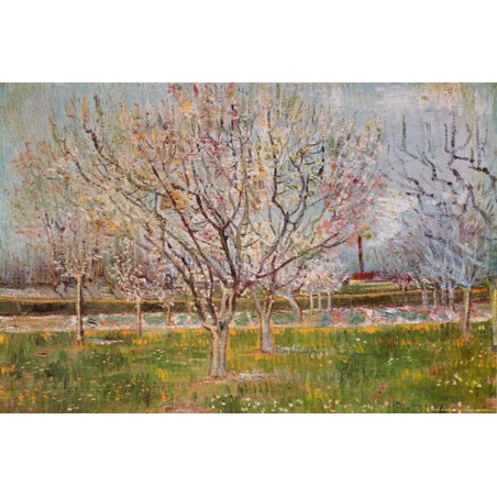 Vincent Van Gogh - Orchard in blossom