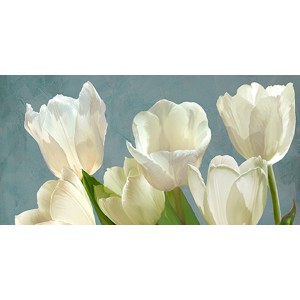 Luca Villa - White Tulips on Blue