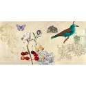 Joannoo - Cabinet of Curiosities I