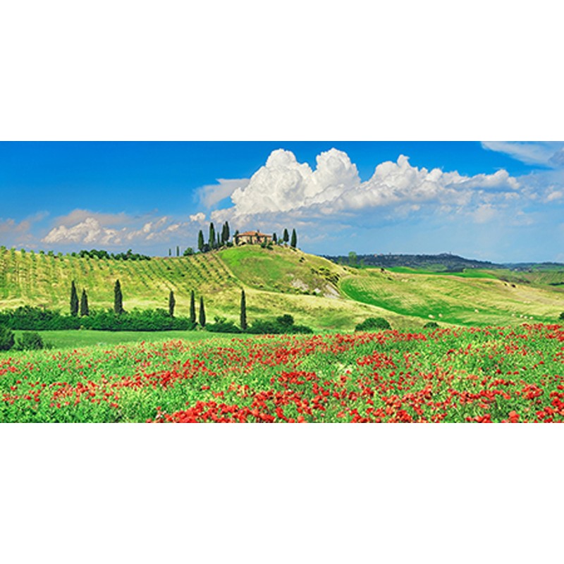 Frank Krahmer - Farmhouse with Cypresses and Poppies, Val d'Orcia, Tuscany