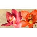 Andrea Antinori - Two Orchids