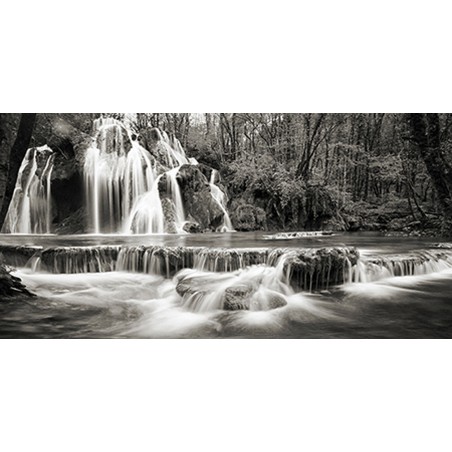 Pangea Images - Waterfall in a forest (BW)