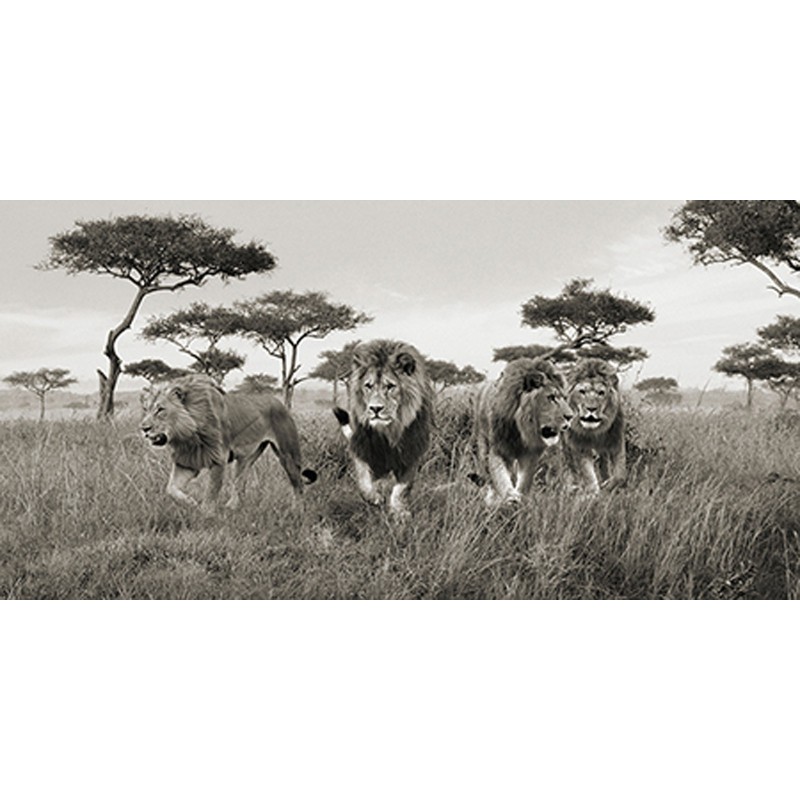 Pangea Images - Brothers, Masai Mara, Kenya (detail)