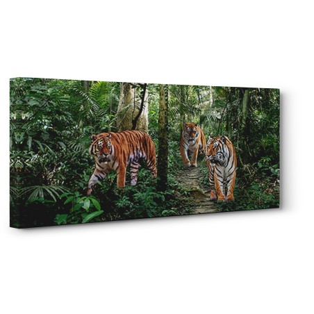 Pangea Images - Bengal Tigers (detail)