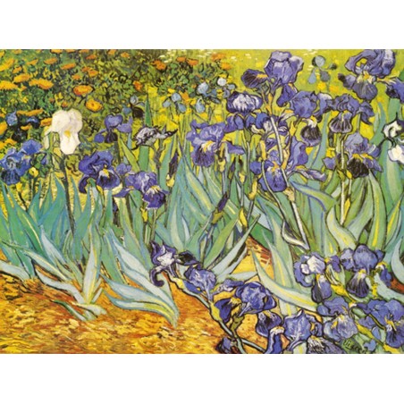 Claude Monet - Campo di fiori gialli