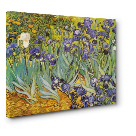 Claude Monet - Campo di fiori gialli