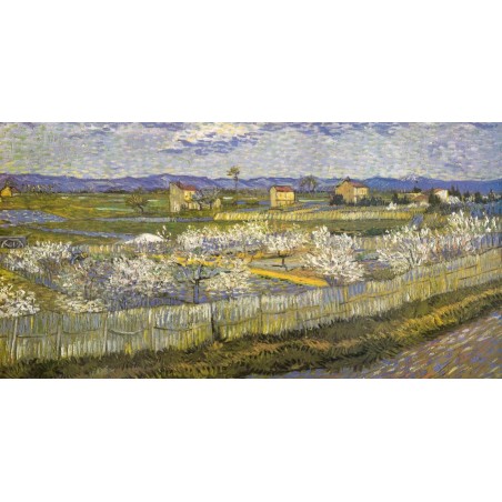 Vincent Van Gogh - Peach blossom