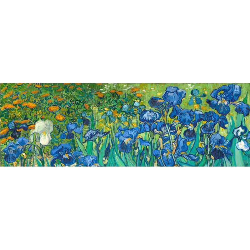 Vincent van Gogh - Irises (detail)