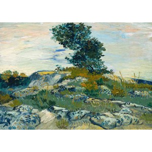 Vincent Van Gogh - The Rocks