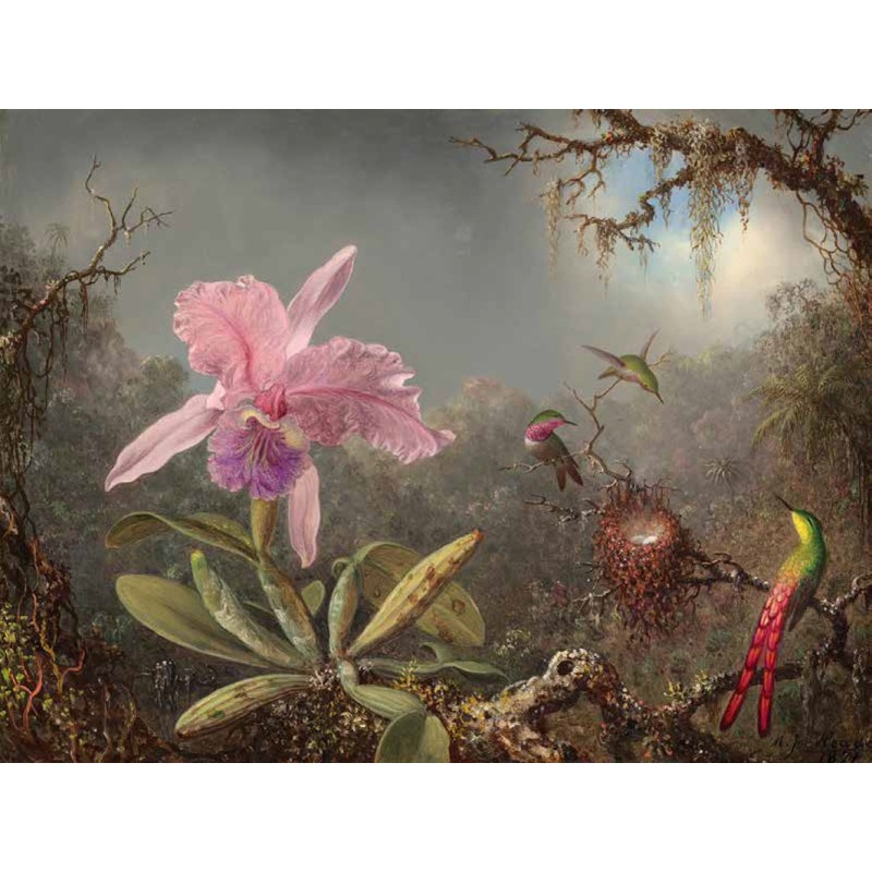 Martin Johnson Heade - Cattleya orchid and three hummingbirds