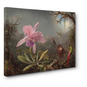 Martin Johnson Heade - Cattleya orchid and three hummingbirds