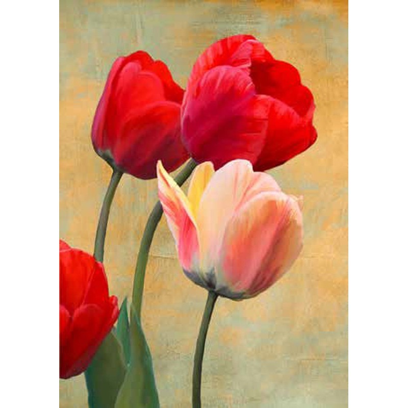Luca Villa - Ruby Tulips