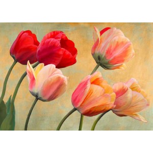 Luca Villa - Golden Tulips