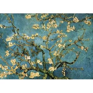 Vincent Van Gogh - Mandorio in fiore