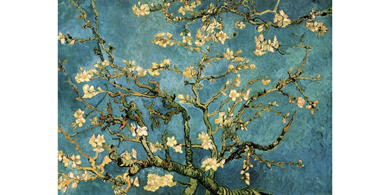 Vincent Van Gogh - Mandorio in fiore