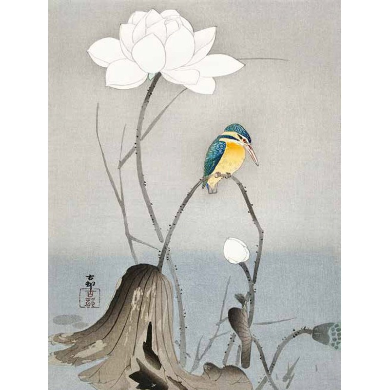 Ohara Koson - Kingfisher with Lotus Flower