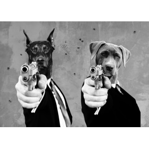 VizLab - Reservoir Dogs
