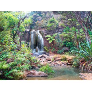 Pangea Images - Rainforest waterfall (detail)